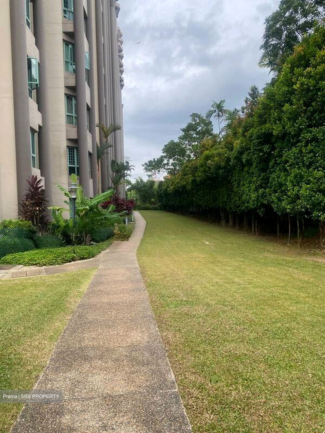 Hillview Park (D23), Condominium #503126401